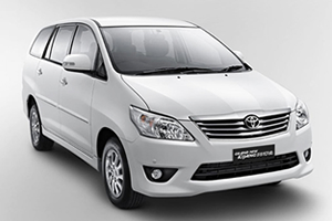 tata indica